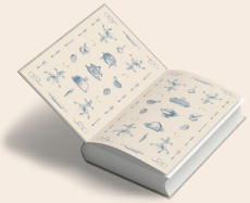 Das Fürstliche Kochbuch